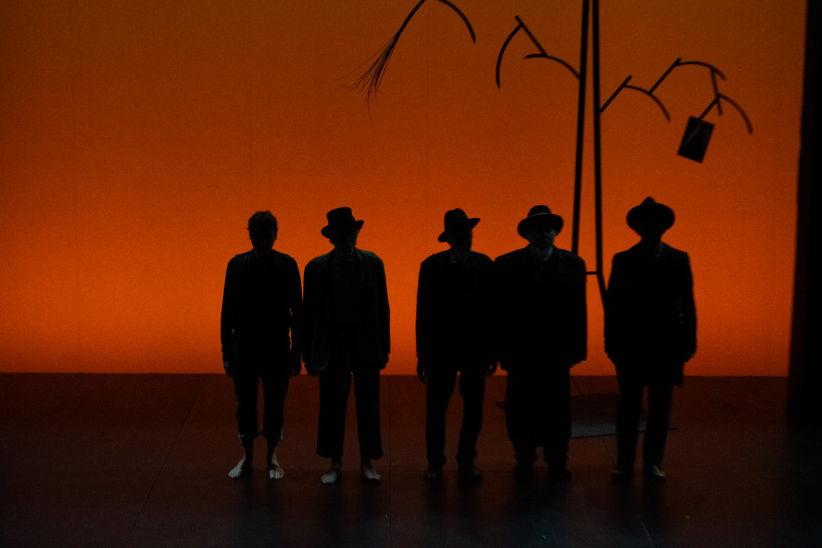 ASPETTANDO GODOT