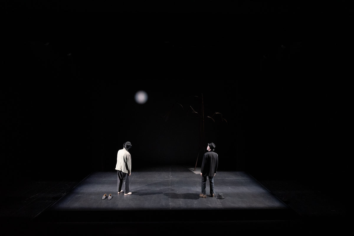 ASPETTANDO GODOT