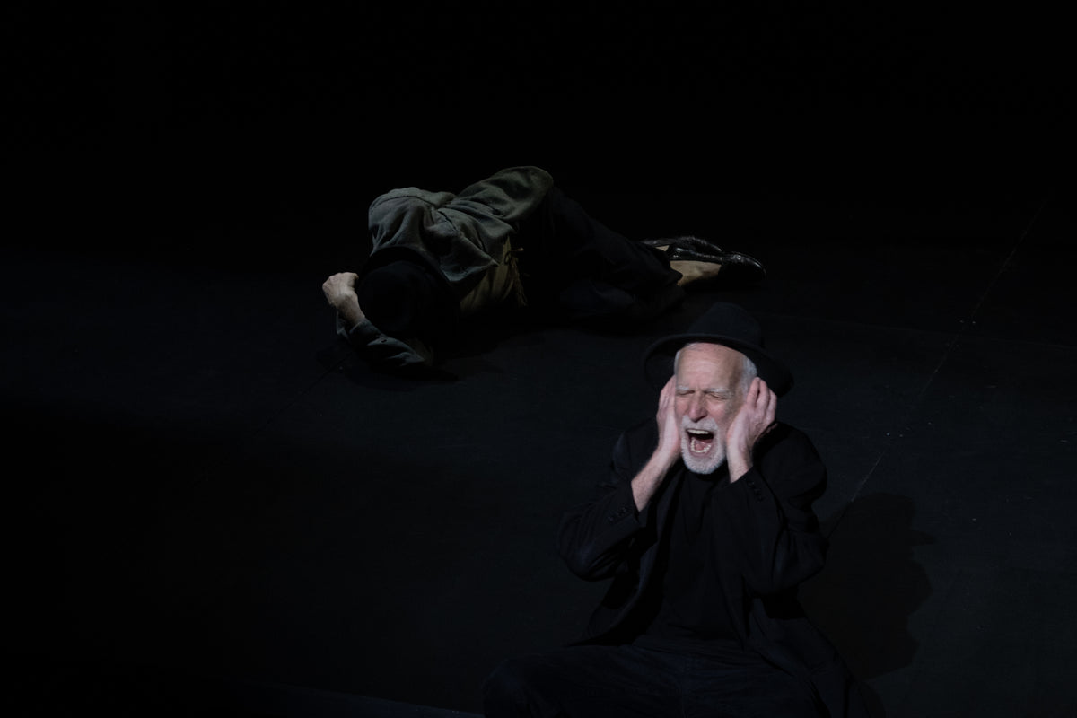 ASPETTANDO GODOT